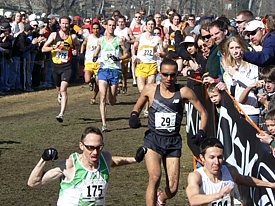 P1000917.JPG
