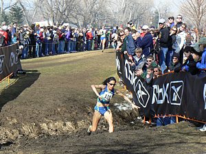 P1000788.JPG