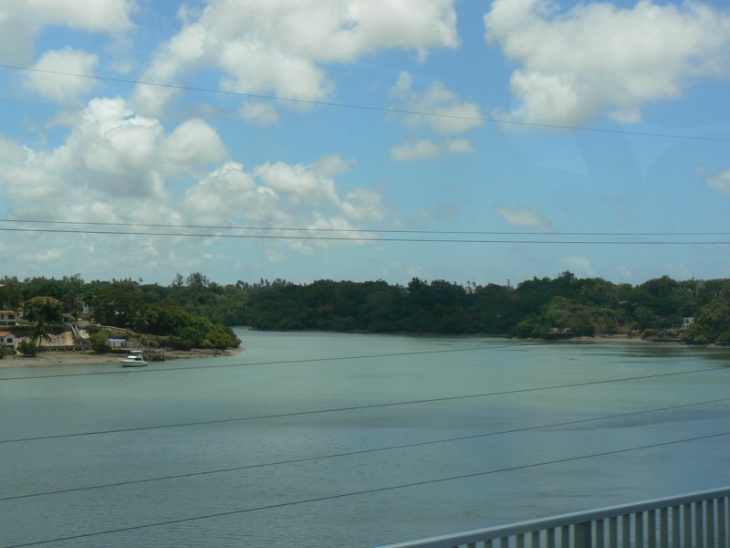 P1010231.JPG