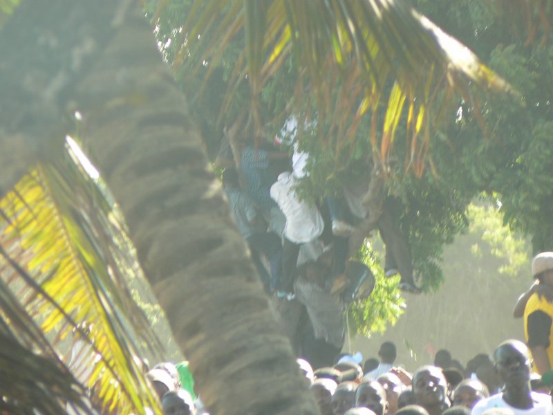 P1010335.JPG