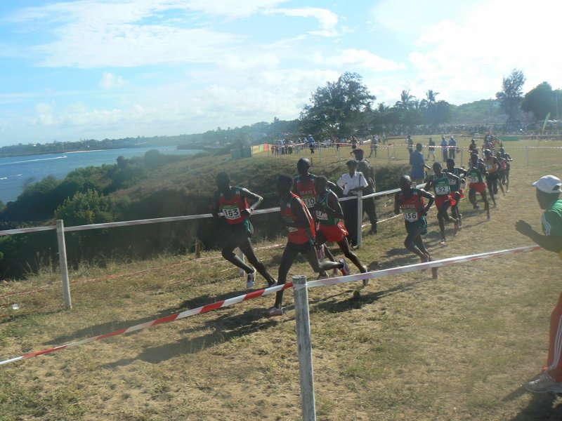 P1010391.JPG