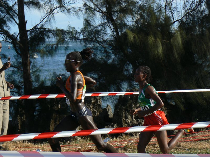 P1010449.JPG