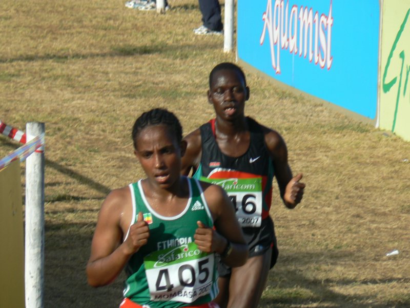 P1010475.JPG