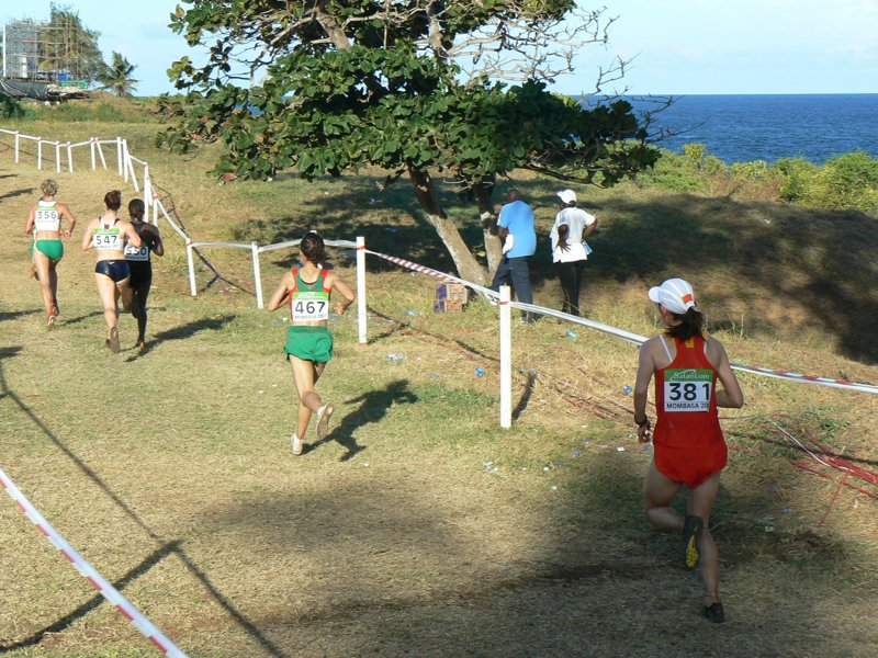 P1010523.JPG