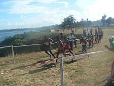 P1010391.JPG