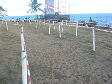 P1010669.JPG