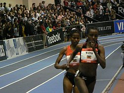 P1040416.JPG