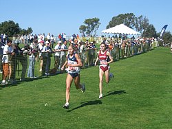 CIMG1993.JPG