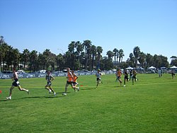 CIMG2006.JPG
