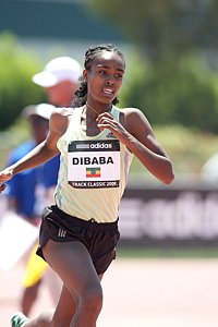 Dibaba_Gez1-Carson08.JPG