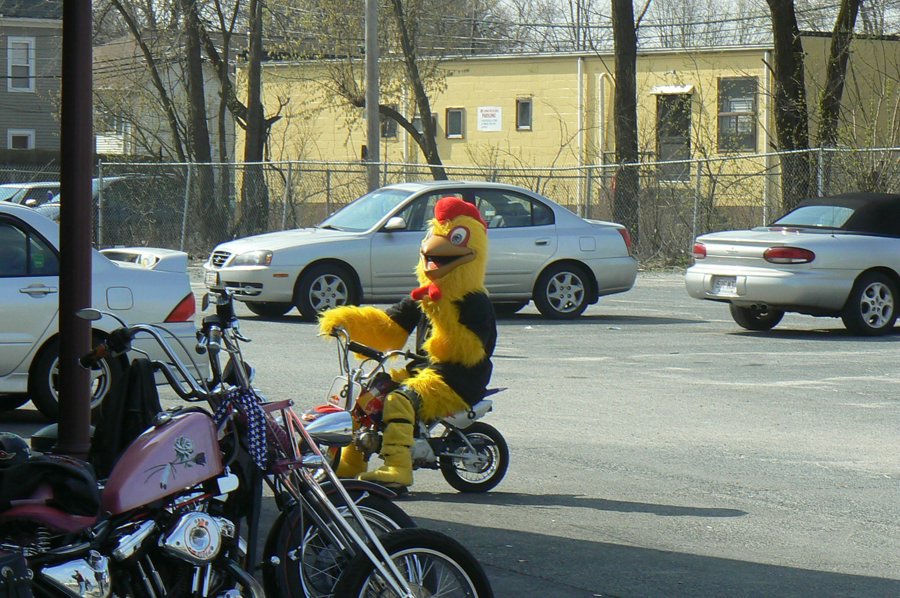 P1060431.JPG