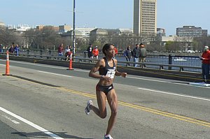 P1060327.JPG