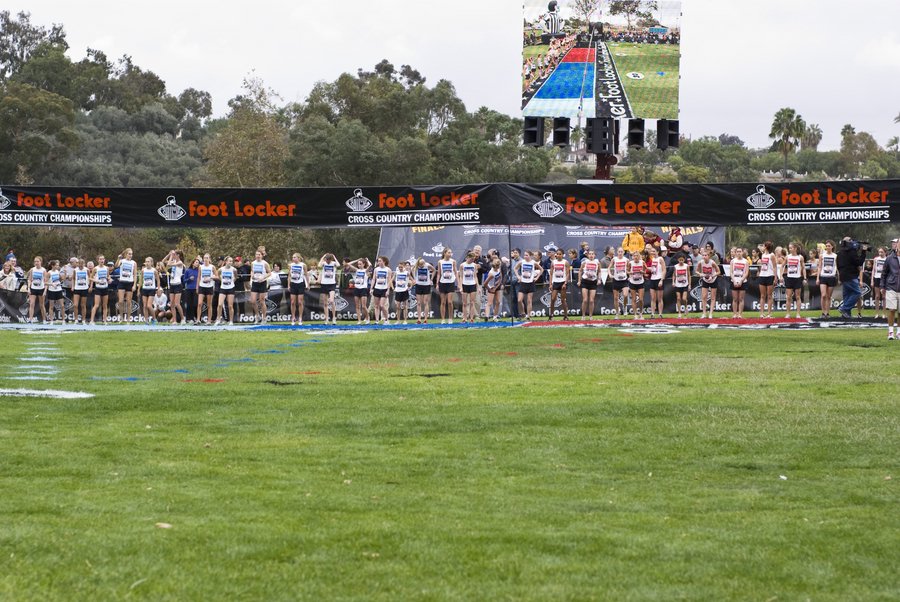 _DSC8911.jpg