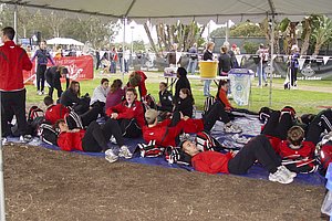 DSC00331.jpg