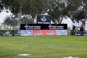 _DSC8776.jpg