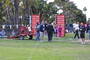 _DSC8808.jpg