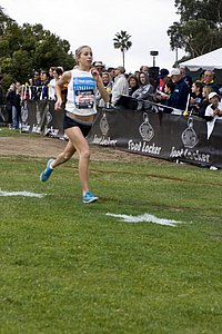 _DSC8900.jpg