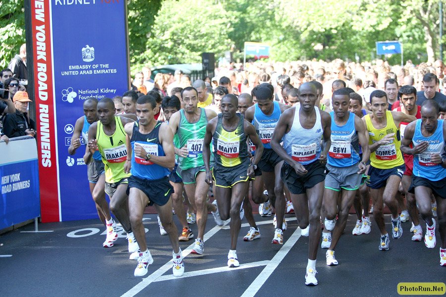 Start-Kidney08.JPG