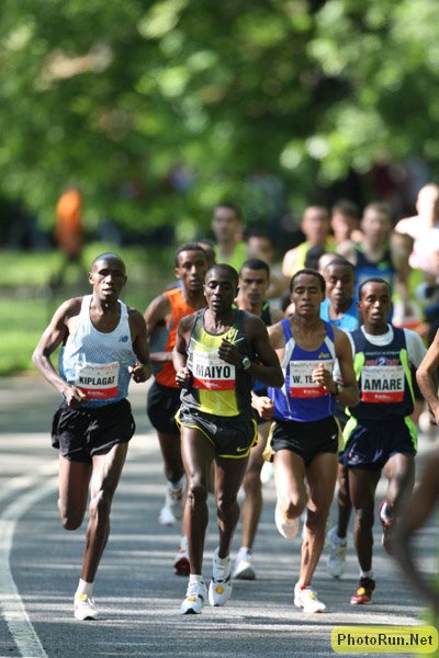 ThePack-Kidney08.JPG