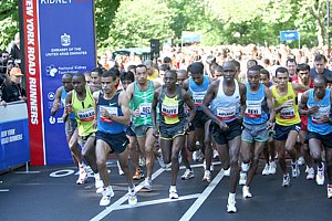 Start-Kidney08.JPG