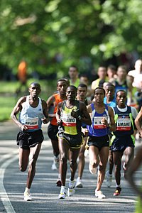 ThePack-Kidney08.JPG