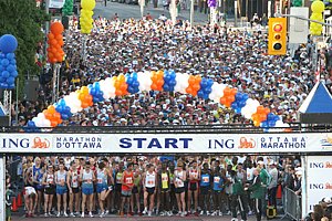 StartLine_ING08.Jpg