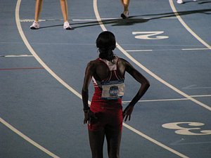 IMG_0536.JPG