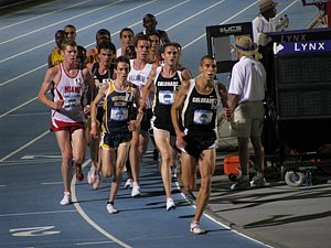 IMG_0549.JPG