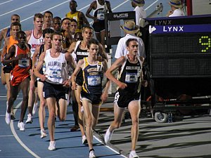 IMG_0555.JPG