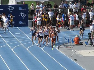 IMG_0743.JPG