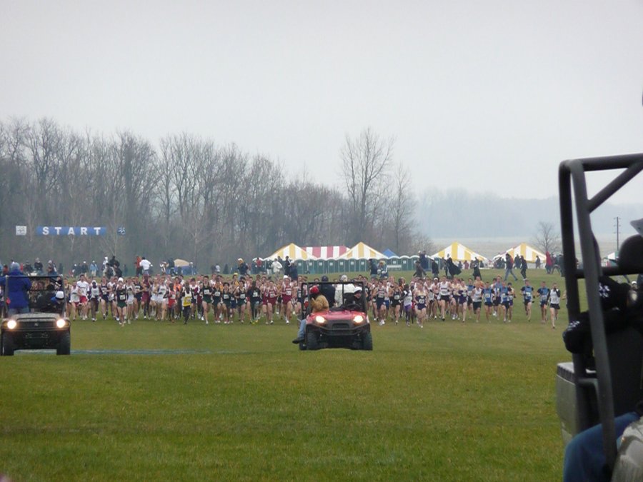 P1000439.JPG