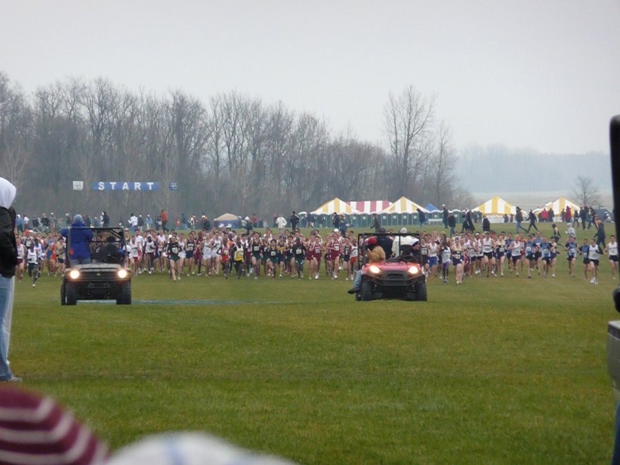 P1000446.JPG