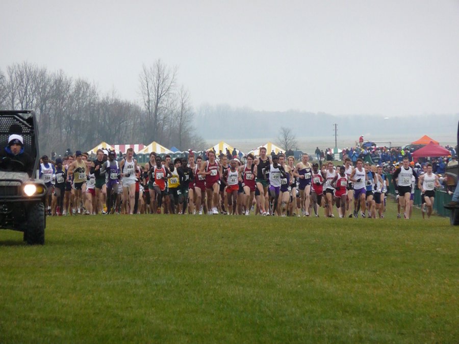 P1000448.JPG