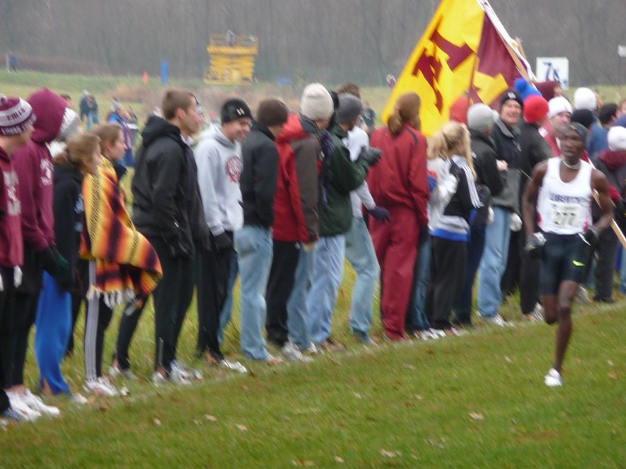 P1000468.JPG