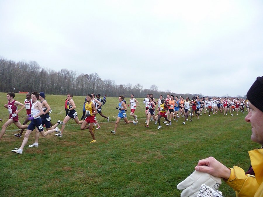P1000511.JPG