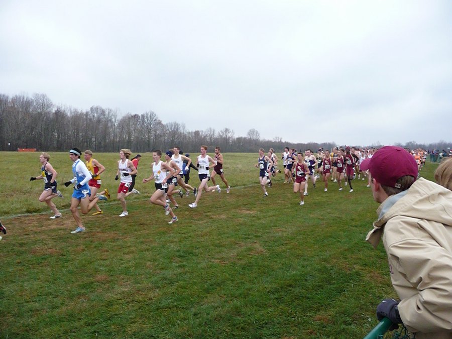 P1000523.JPG