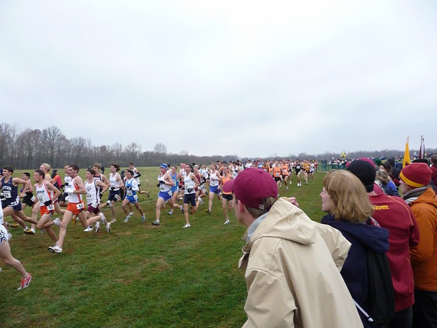 P1000537.JPG
