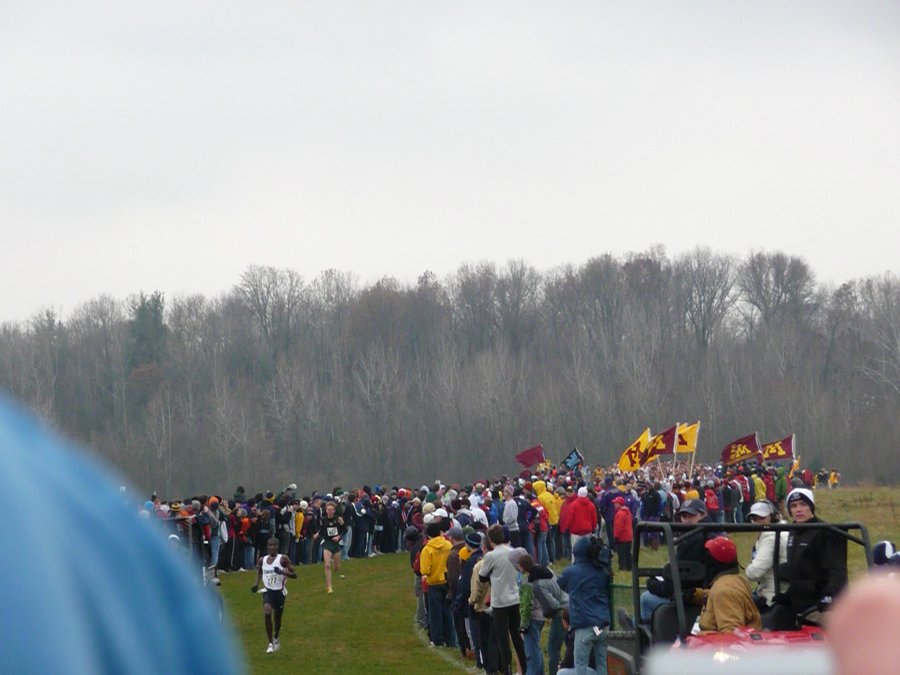 P1000540.JPG