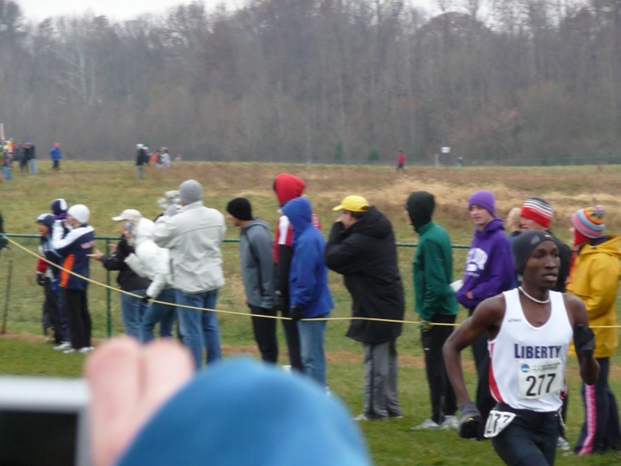 P1000545.JPG
