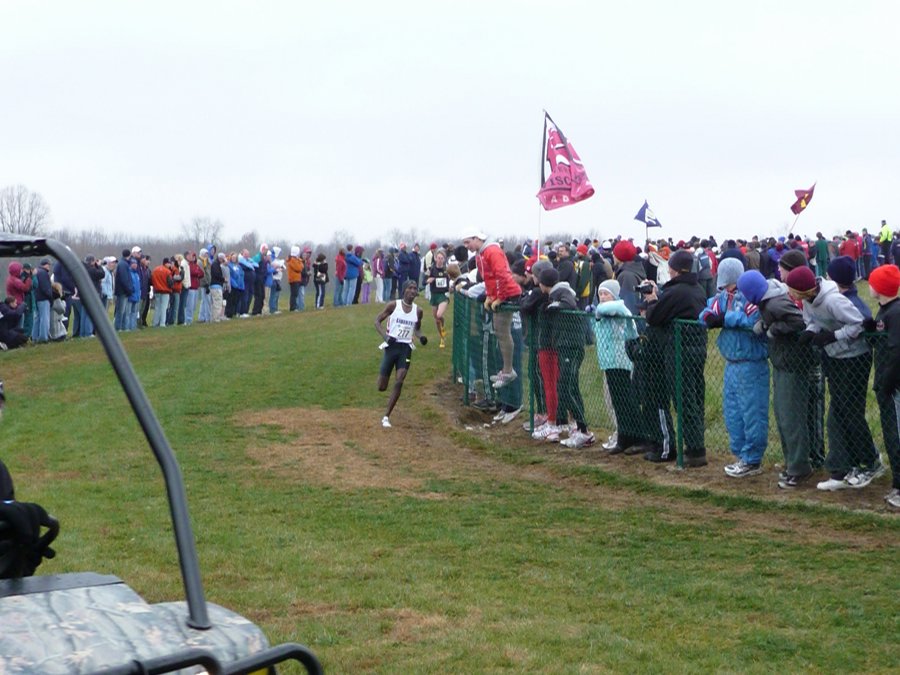 P1000603.JPG
