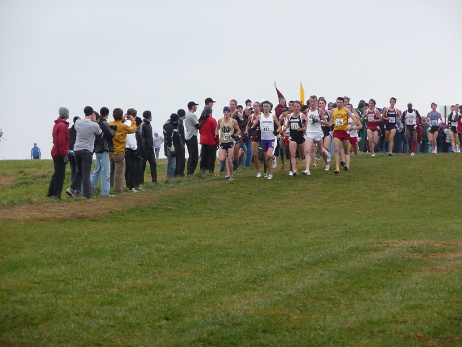 P1000767.JPG