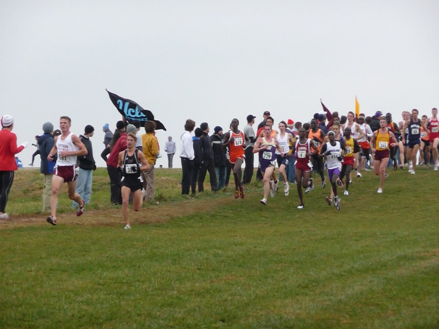 P1000789.JPG