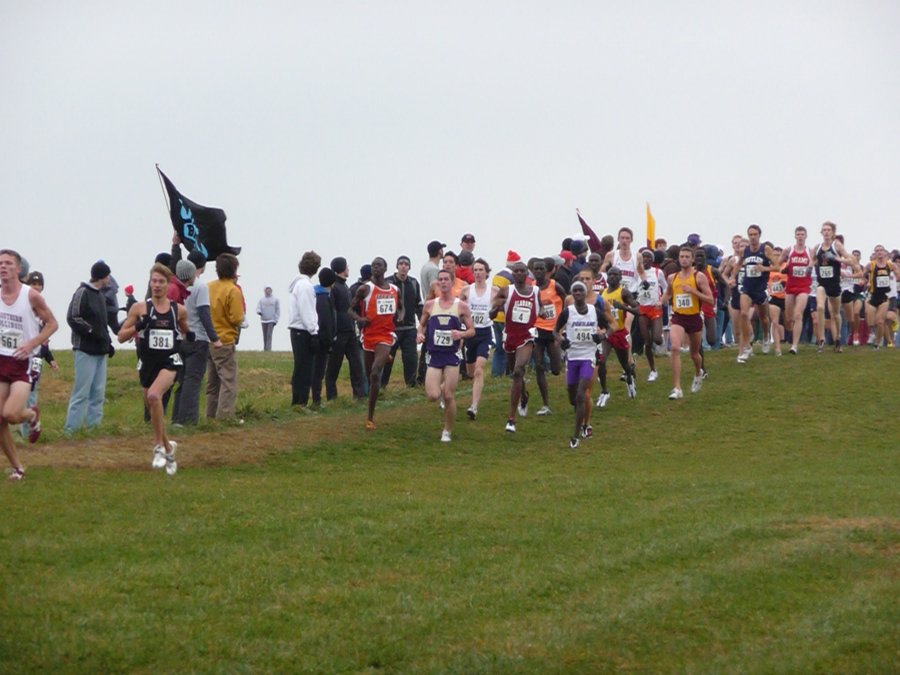 P1000790.JPG