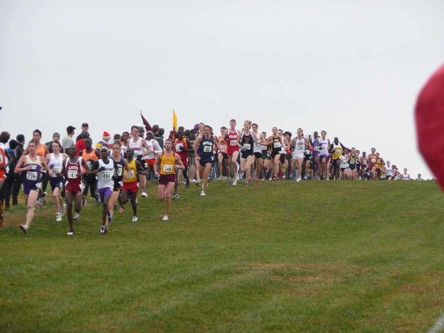 P1000793.JPG
