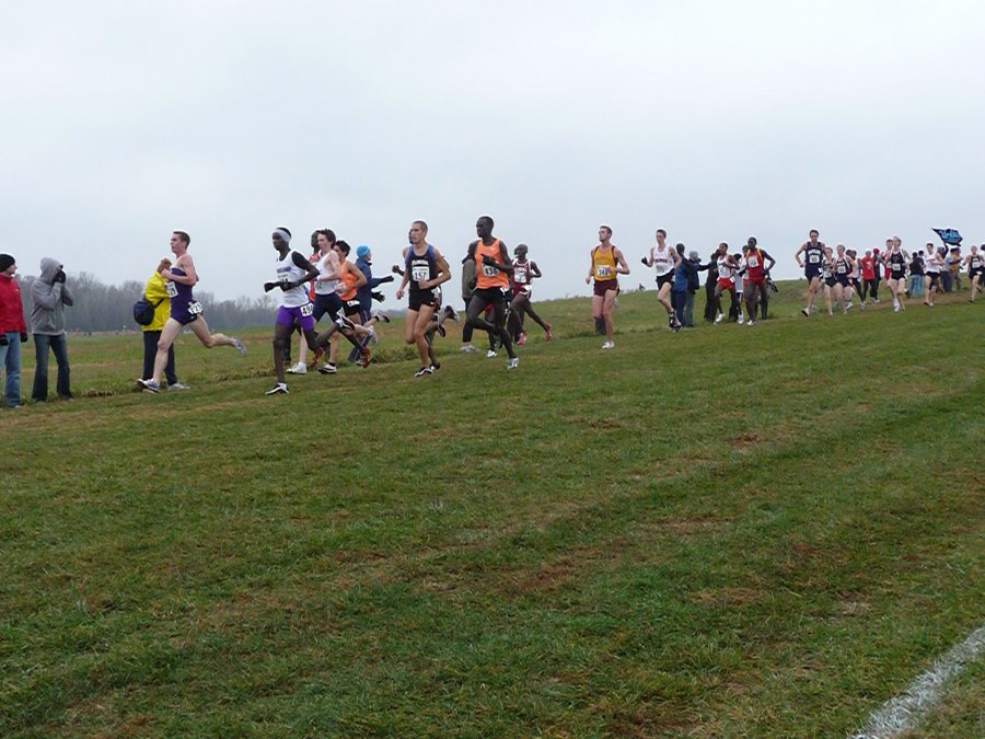 P1000797.JPG