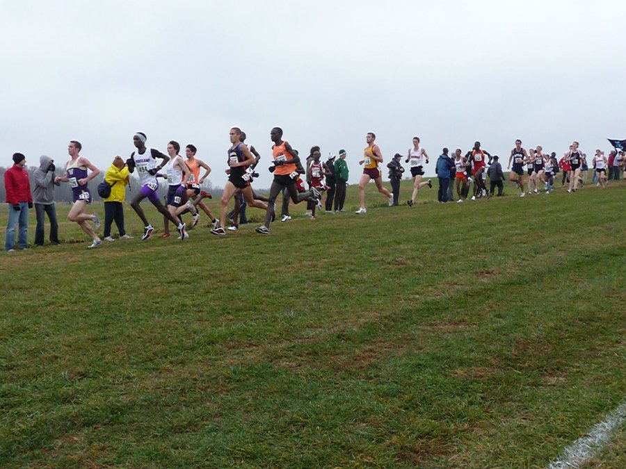 P1000798.JPG