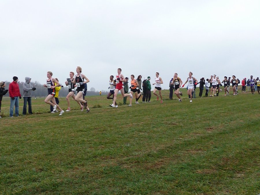 P1000804.JPG