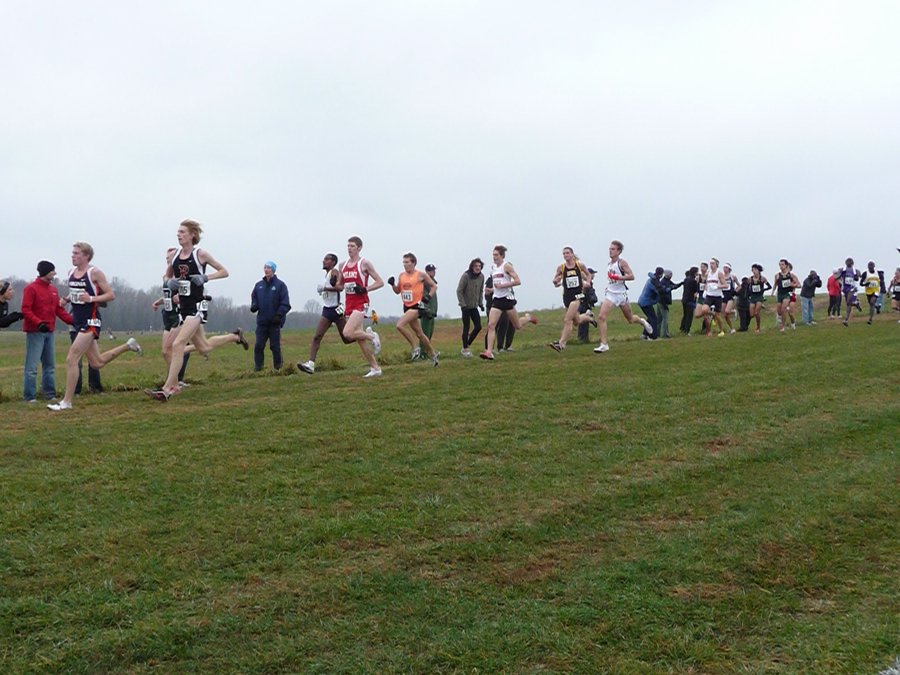 P1000805.JPG