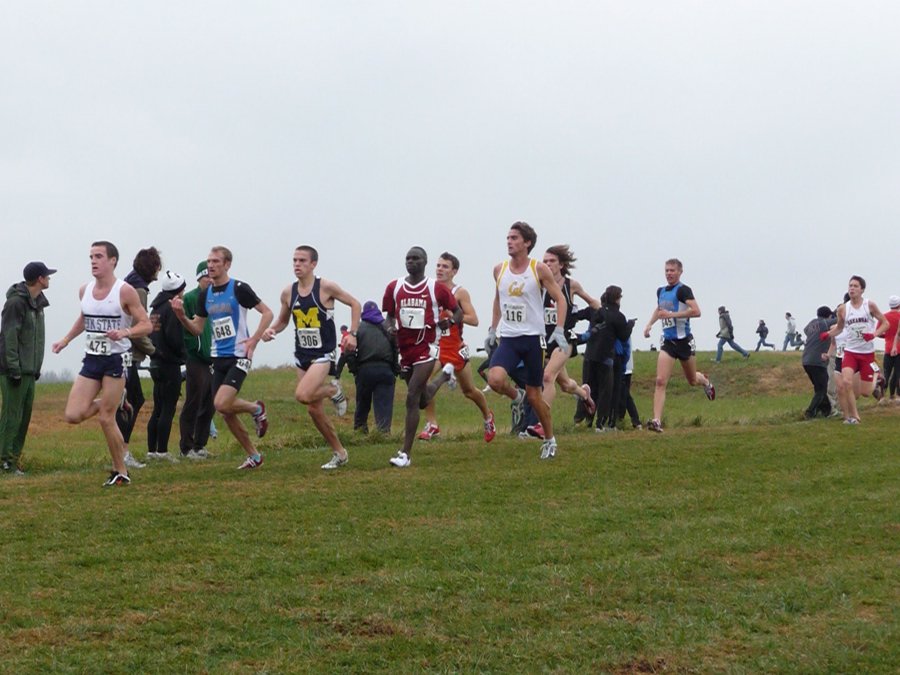 P1000829.JPG
