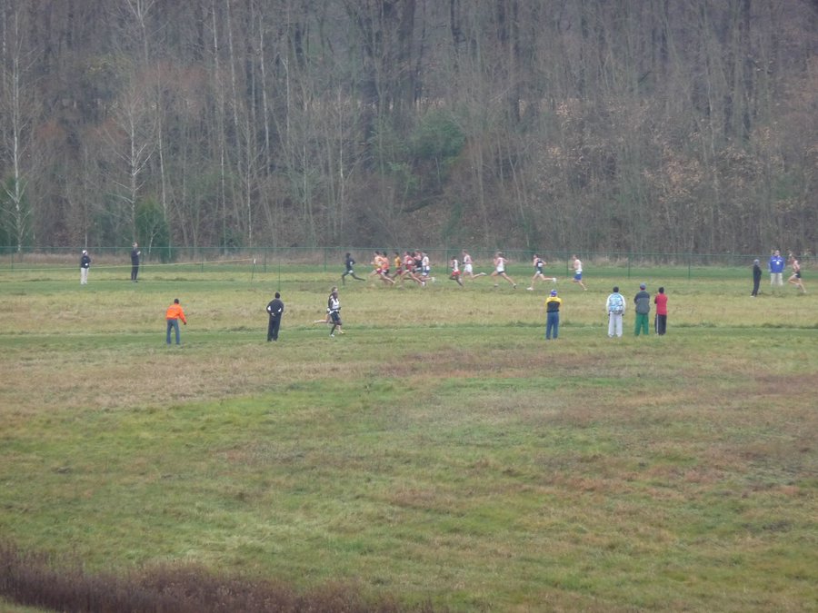 P1000846.JPG